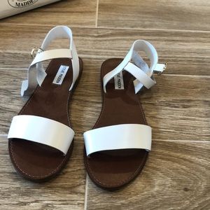 Steve Madden donddi flat